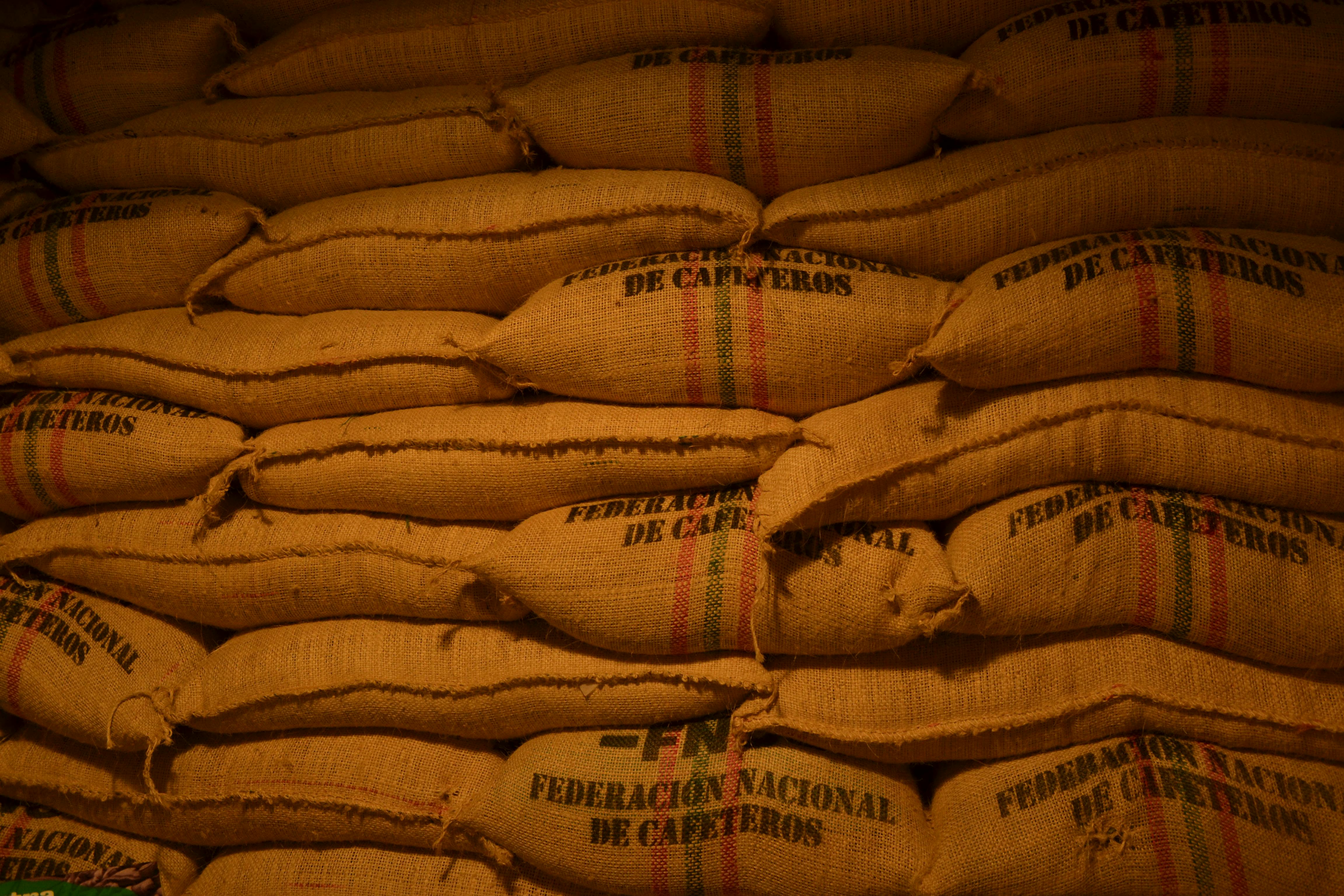 Agricultural products packed in boxes for export